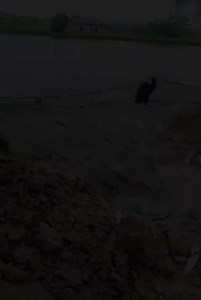 346K views · 790 reactions | The fishermen enjoyed a good harvest  | Lahsihmedia | Facebook