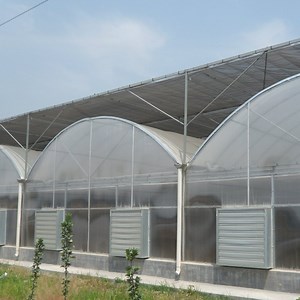 [Hot Item] Agricultural Multi-Span Arch Type Greenhouse Frame Structure with Ventilation System