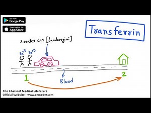 Transferrin | Iron Transporter | Biochemistry Lectures | The Charsi of Medical Literature