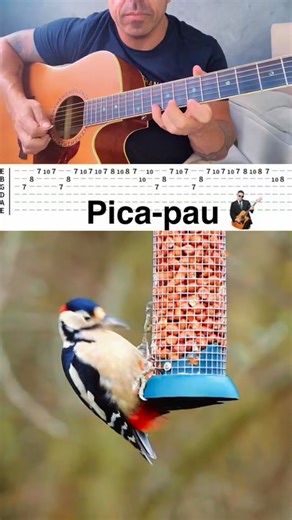 Igor Damaceno | Violão & Guitar on Instagram: "Tutorial como tocar o tema da música do Pica-pau woodpecker #violao #woodpecker #tutorial #violaoiniciante"