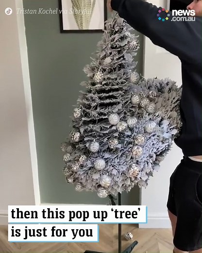 2.6M views · 39K reactions | Can't be bothered putting up the Christmas tree? This is for you. | News.com.au | Facebook