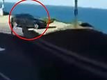 Dashcam captures shocking moment car flies off California cliff