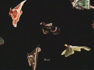 231K views · 6.8K reactions | the only exception | User not found | Facebook