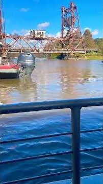 Honey Island Swamp Tour! #louisiana #neworleans