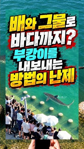 배와 그물로 바다까지? 부캉이를 내보내는 방법의 난제