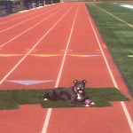 CBA Syracuse - Roster