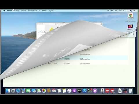 How to install Office 365 Pro on macOS