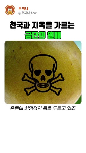 천국과 지옥을 가르는 금단의 열매: 기네스북 등재 '만치닐 나무'의 정체