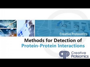 Methods to detect protein-protein interactions (PPIs)