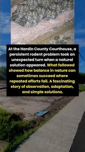 Nature Solved What Humans Couldn’t