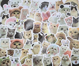 Cat Meme Stickers - 50 Pcs Waterproof Vinyl Decals/ Gift/ Party Favors/ Cats Lovers - Etsy Canada