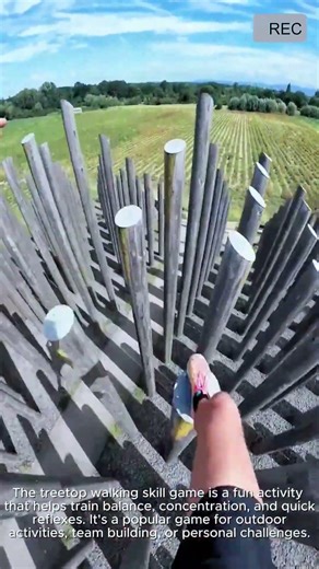 Balance Game on Logs | Skill Challenge #viral #games #tools #skills #wood