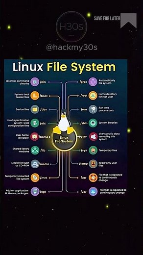 Understanding the Linux File System Explained