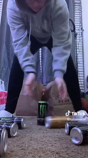 Unique Monster Energy Drink Collection – Alex Bree Cooper