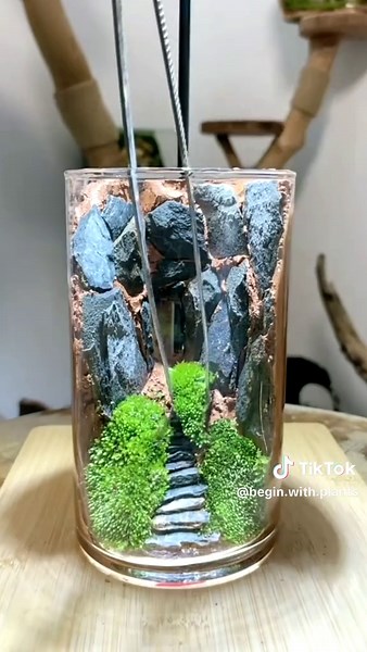 Learn How to Make Your Own Moss Terrarium, Create Your Own Miniature Nature World! #mossterrarium #diycraft #plantlover #microlandscape