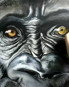 Acrylic canvas timelapse painting- Gorilla Eye