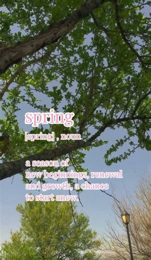 Spring is here 🌷🤍🎀