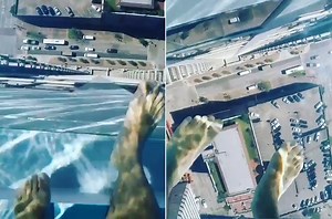 This glass-bottom pool can be yours for $1,800 per month