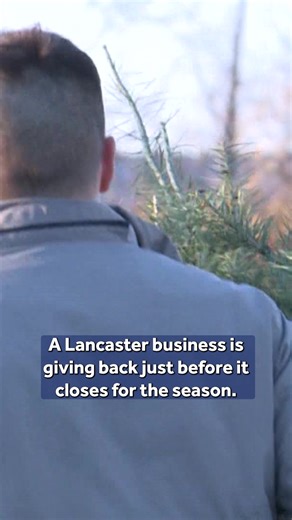 A Lancaster County business gave away its remaining Christmas trees for free to families in need as it prepares to close for the season. Second Chance Plants in Manheim Township offered the generous gesture to support families and make sure the trees didn't go to waste. #christmas | WGAL News Channel 8 Susquehanna Valley, Pa.