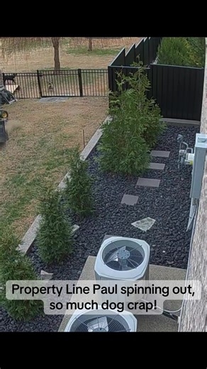 #propertylinepaul #plp #propertylinepaulisback #propertyline #psychopaul
