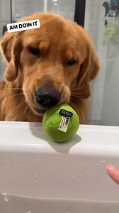 671K views · 72K reactions | When I Try to Take a Bath... | Tucker Budzyn | Facebook