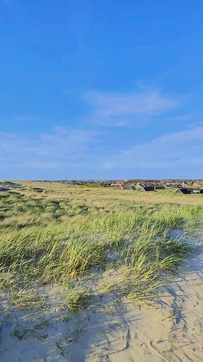 🇩🇰 Guten Morgen Zusammen ☕ 🙋 😘 🇩🇰 | Thomas Heilmann