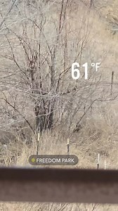 Jason Lewis on Reels