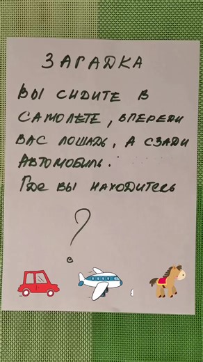 Favorite Animal Poll: Horse vs. Airplane