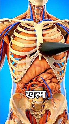 Which jacket can Stop the bullet #shorts