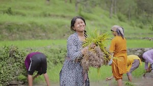 Indian Female Farmer Walking Barefoot Through Stock Footage Video (100% Royalty-free) 3841893141 | Shutterstock