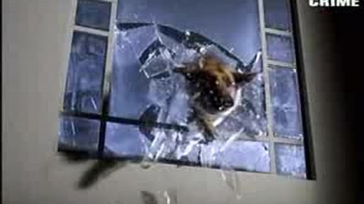 Komisarz Rex S04E09 (Spisek)