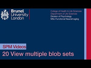 SPM Tutorial 20 - View Multiple SPMs