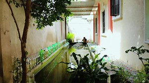 178K views · 4.7K reactions | Grooming Bettas Full video: https://www.youtube.com/watch?v=pj2l7Y1TKrQ | Dexter's World | Facebook