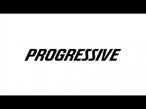 Progressive Radio Ad (Birds)
