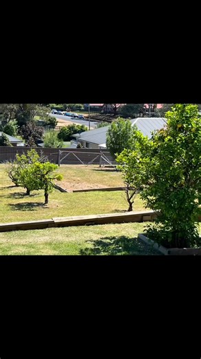 Tree planting job each tree has been specially designed to go exactly where it needs to be and planned accordingly with soil improvements done to each hole to encourage roots to grow down deep into the soil. Very happy with how this job turned out. | Get Back to Nature Gardens