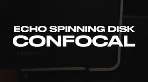 ECHO Spinning Disk Confocal Z-Stack