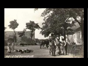 Die Russlanddeutschen - Tatsachen über die Deutschen aus Russland