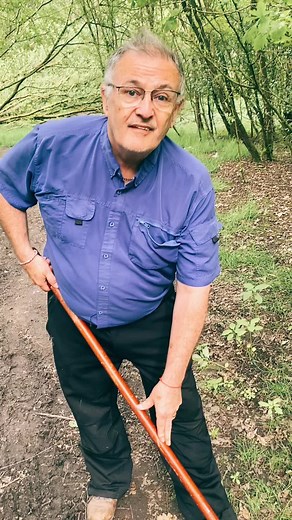 How to get rid Himalayan balsam