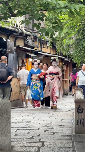 Why Tourists Love Japanese Geisha 👘🌸 | Magic of Kyoto 🇯🇵