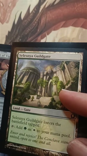 Turn your lands into Dual lands #magicthegatheringcommunity