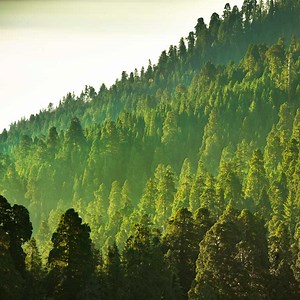 Nuveen Natural Capital