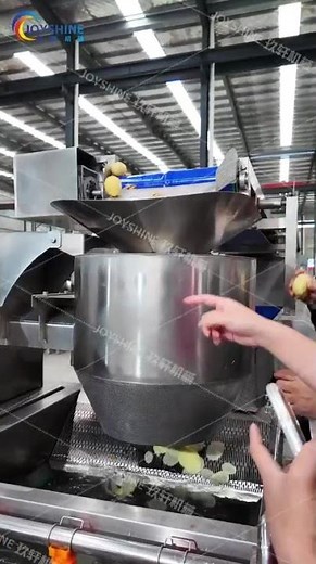 Industrial Potato Chips Slicer | High Capacity Potato Cutting Line