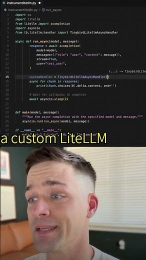 Instrument LiteLLM for real-time model analysis