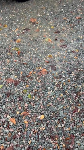 You shouldn’t be forced to be a good parent. 💔♻️ | PAPA - People Against Parental Alienation