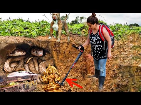 Unlocking Riches: A Treasure Hunt for Diamonds and Gold With Metal Detector