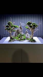 Mountain Aquascape #aquascaping #aquascape #mountain #landscape #akwarium #nature #mountainlovers #landscapeart | Ancient Stone