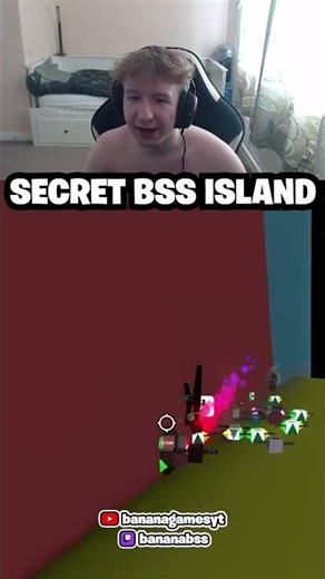 SECRET BSS ISLAND (Bee Swarm Simulator)