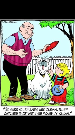 Every day’s an adventure when Dennis is around 🤭 . . #dennisthemenace #dailycomedy #comiclife #GoComics #funny #comicskingdom #nostalgia | Dennis& Menace Comic