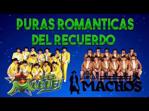BANDA MACHOS VS BANDA MAGUEY - PURAS ROMANTICAS DEL RECUERDO