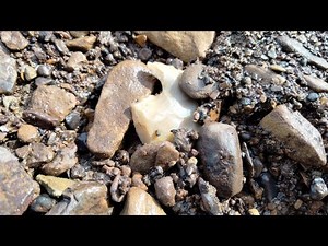 2023 so far... Arrowhead Hunting Missouri